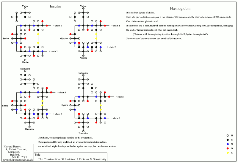 The Construction of Proteins: Proteins and Sensitivity