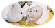 bathingpigeons-transparent.png