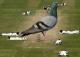 giant-pigeon-on-the-pitch.jpg