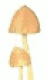 mushies.png