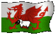 welsh-flag-sheepshag.gif