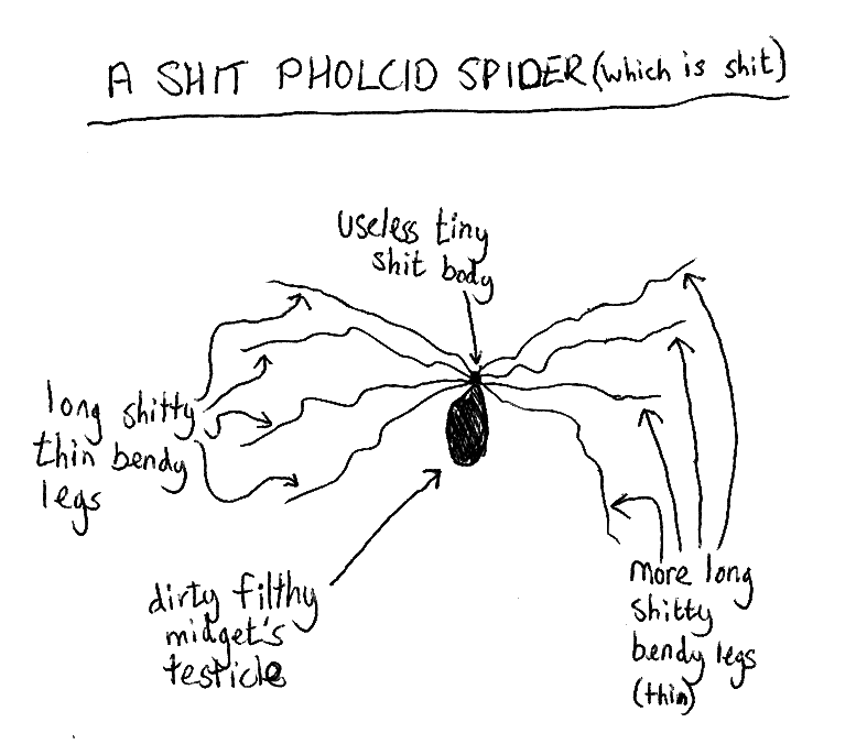 A diagram of the shittiness of a shit pholcid spider, which is shit