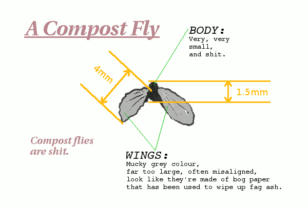 A Compost Fly (Compost flies are shit)