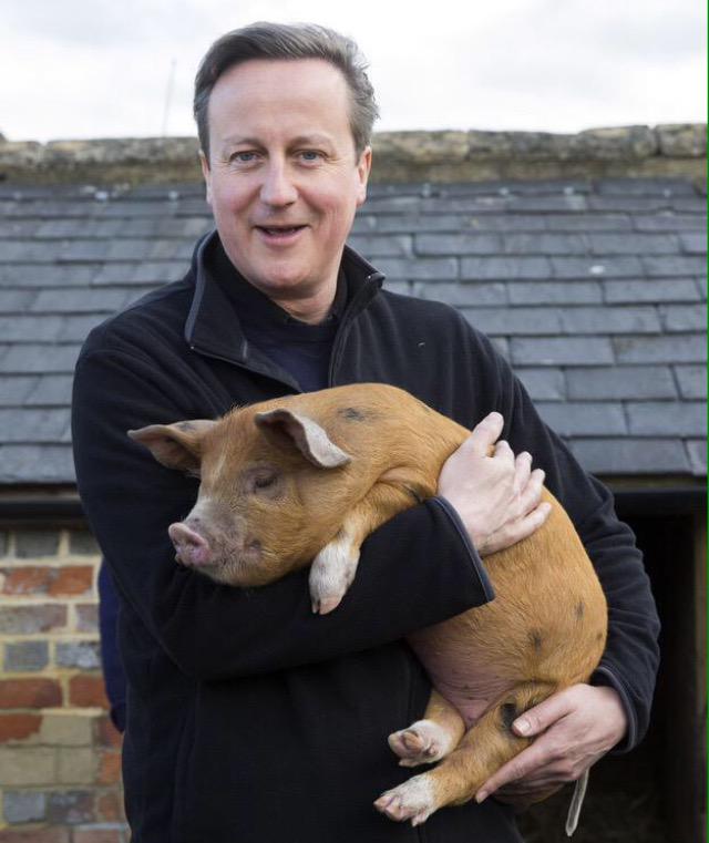 David Cameron and his pig