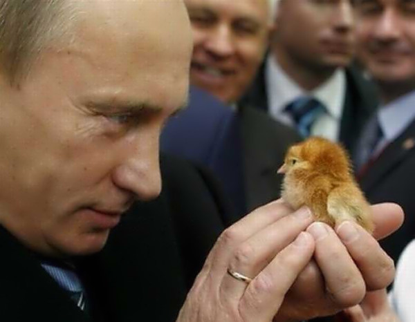 Vladimir Putin talking to a gorgeous cute little birdie