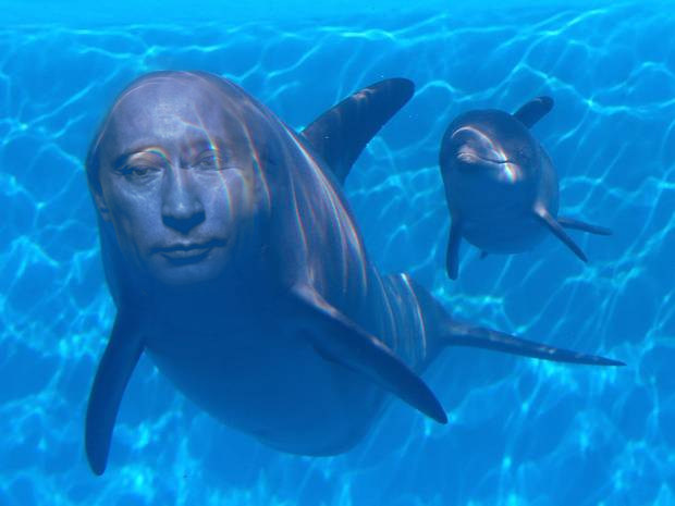 Vladimir Putin is a dolphin